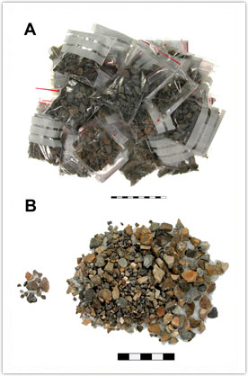 Photo 2: Flint microartifacts - the content of a single sorted unit: A) The content; B) The ratio of burned items (left) to unburned (right).