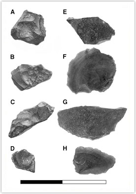 Photo 3: Flint microartifacts from Area C at GBY; burned on the left (A-D) and unburned on the right (E-H).