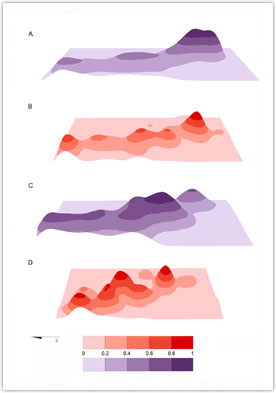 Photo 4: Three-dimensional illustration of the relative densities of flint microartifacts in Area C, GBY: A) layer V-5, unburned microartifacts; B) layer V-5, burned microartifacts; C) layer V-6, unburned microartifacts; D) layer V-6, burned microartifacts. Relative densities have been standardized by the maximum values of each data set. Densities are represented as surfaces.