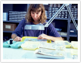 Irit Zohar sorting the fish bones at the zooarchaeology lab