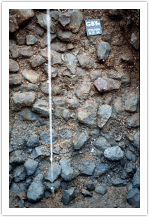 Section of Layer II-6 Level 4 showing wealth of basalt handaxes, cleavers and large flakes.